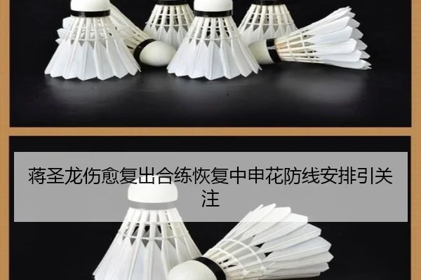蒋圣龙伤愈复出合练恢复中申花防线安排引关注 - kaiyun